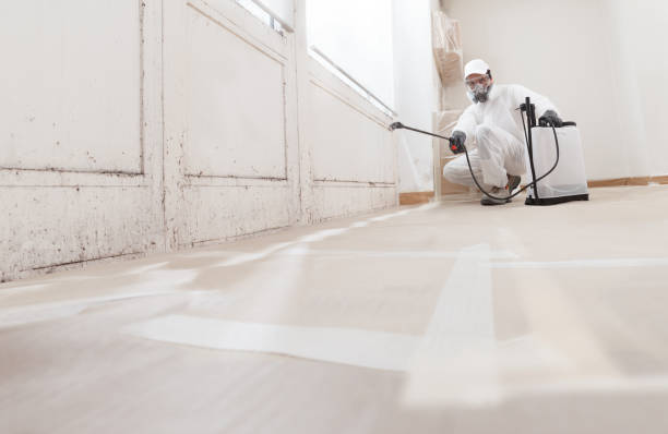 24/7 Emergency Crawl Space Mold Removal experts in Danville, KY
