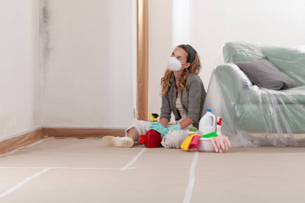 Reliable Crawl Space Mold Removal contractor in Danville, KY by WQB Mold Removal