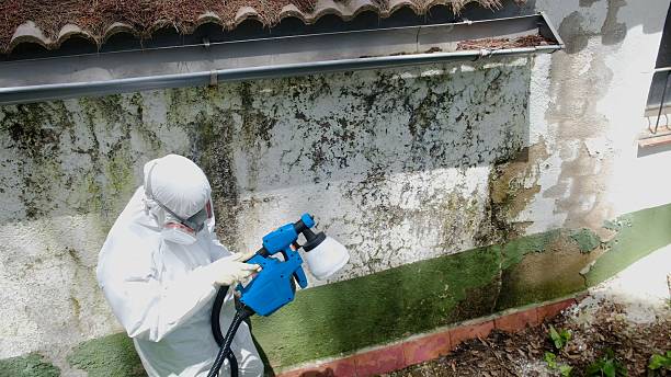 Top rated local Crawl Space Mold Removal specialists in Danville, KY